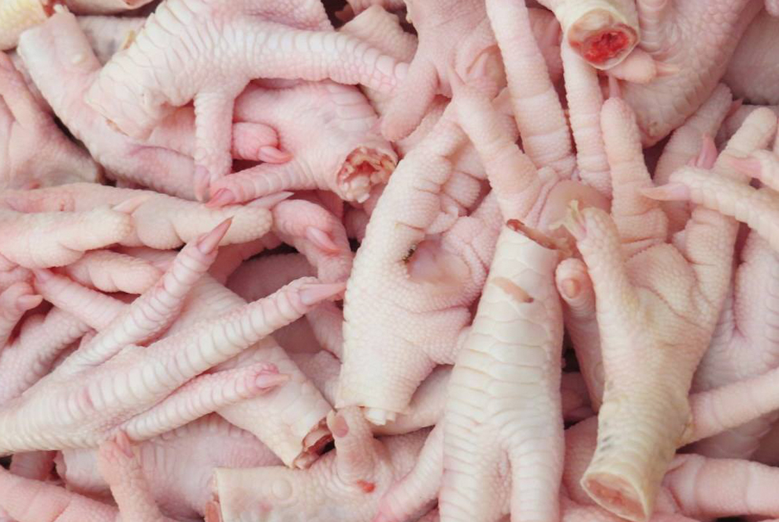 DRF SA frozen chicken exporters