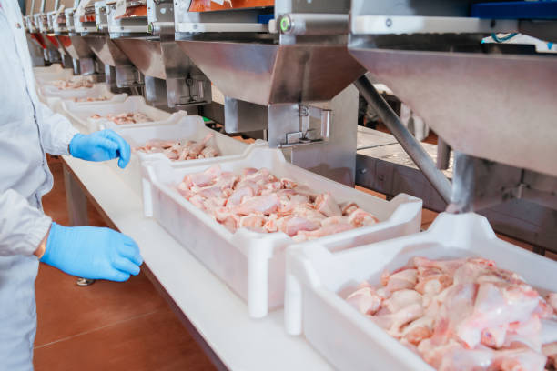 DRF SA frozen chicken exporters