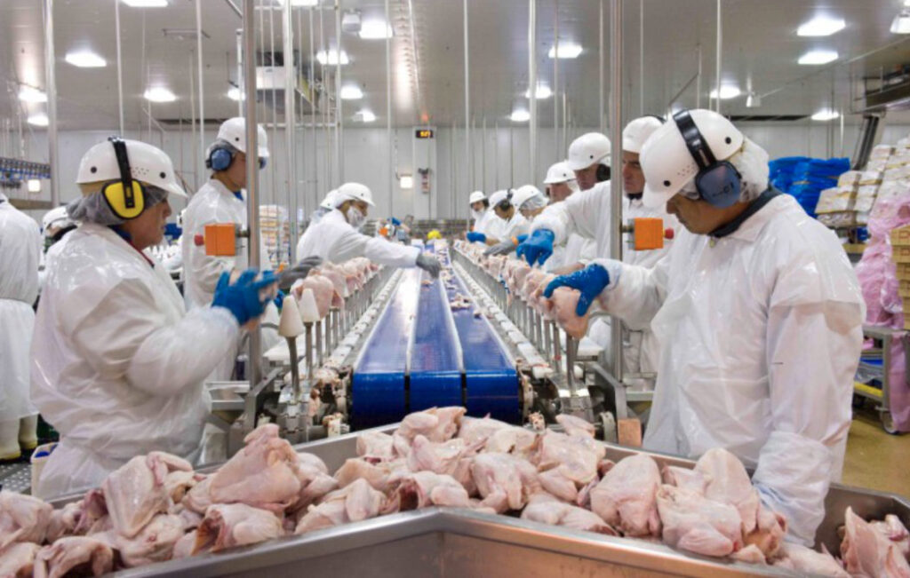 DRF SA frozen chicken exporters