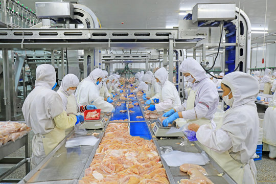 DRF SA frozen chicken exporters