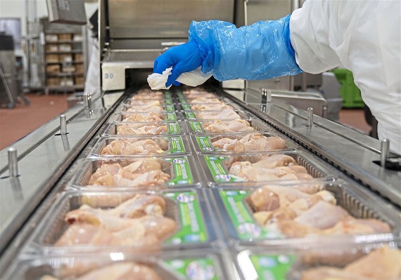DRF SA frozen chicken exporters